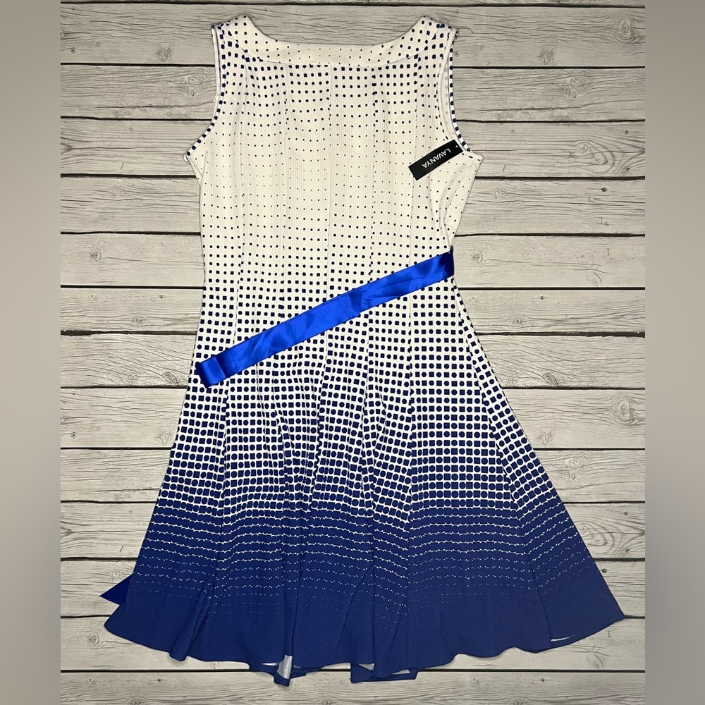 Lavanya Blue and White Dress